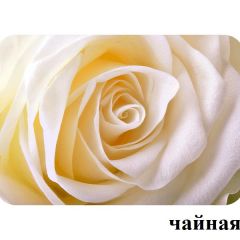 БОСТОН - 3 Стол раздвижной 1100/1420 опоры Триумф в Заречном - zarechnyy.mebel24.online | фото 47