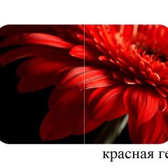 БОСТОН - 3 Стол раздвижной 1100/1420 опоры Триумф в Заречном - zarechnyy.mebel24.online | фото 18