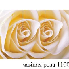 БОСТОН - 3 Стол раздвижной 1100/1420 опоры Триумф в Заречном - zarechnyy.mebel24.online | фото 48