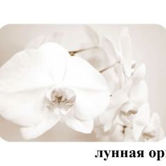 БОСТОН - 3 Стол раздвижной Лунная орхидея 1100/1420 опоры Триумф в Заречном - zarechnyy.mebel24.online | фото 2