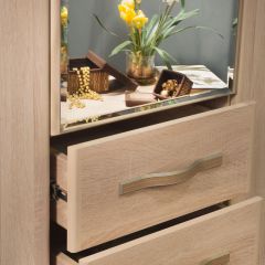 ДИАНА Д11 Шкаф для одежды в Заречном - zarechnyy.mebel24.online | фото 5
