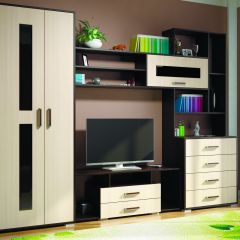 Гостиная ЕВРОПА-1 (Венге/Дуб молочный) в Заречном - zarechnyy.mebel24.online | фото