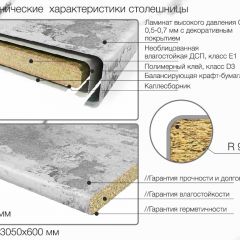 Кухонный фартук со столешницей (А-02) в едином стиле (3050 мм) в Заречном - zarechnyy.mebel24.online | фото 6