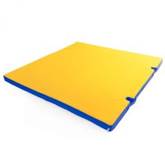 Мат гимнастический 1х1х0,05м с вырезом под стойки цв. синий-желтый в Заречном - zarechnyy.mebel24.online | фото 1