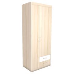 НИКА Н10 Шкаф для одежды в Заречном - zarechnyy.mebel24.online | фото