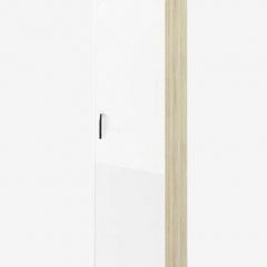 СОФИ СШП450.1 Пенал в Заречном - zarechnyy.mebel24.online | фото