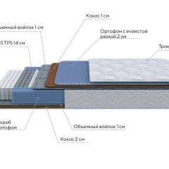 PROxSON Матрас Active Duo M/F (Ткань Трикотаж Эко) 160x190 в Заречном - zarechnyy.mebel24.online | фото 9