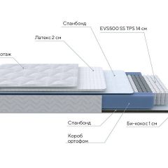 PROxSON Матрас Active Duo S/F (Ткань Трикотаж Эко) 120x200 в Заречном - zarechnyy.mebel24.online | фото 7