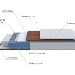 PROxSON Матрас Active F (Ткань Трикотаж Эко) 160x200 в Заречном - zarechnyy.mebel24.online | фото 7