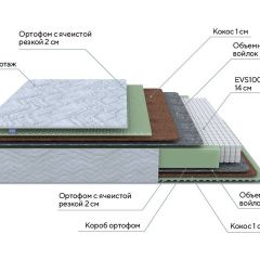 PROxSON Матрас Green M (Tricotage Dream) 140x190 в Заречном - zarechnyy.mebel24.online | фото 7