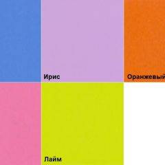 Шкаф 2-х створчатый с ящиками (1000) в Заречном - zarechnyy.mebel24.online | фото 5