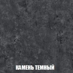 Шкаф 2-х створчатый МСП-1 (Дуб Золотой/Камень темный) в Заречном - zarechnyy.mebel24.online | фото 5