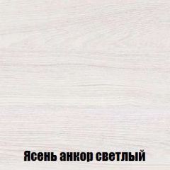 Шкаф 2-х створчатый МСП-1 (Ясень Анкор светлый) в Заречном - zarechnyy.mebel24.online | фото 4