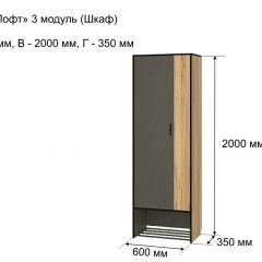 ОЛЬГА-ЛОФТ 3 Шкаф 2-х створчатый в Заречном - zarechnyy.mebel24.online | фото 4