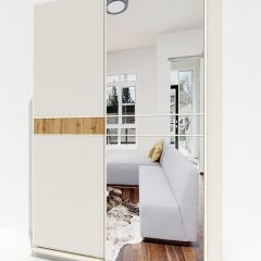 Шкаф-купе 1600 серии SOFT D6+D4+B2+PL2 (2 ящика+1штанга+1 полка) профиль «Капучино» в Заречном - zarechnyy.mebel24.online | фото 2
