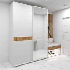Шкаф-купе 1600 серии SOFT D6+D4+B2+PL2 (2 ящика+1штанга+1 полка) профиль «Капучино» в Заречном - zarechnyy.mebel24.online | фото 5