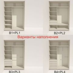 Шкаф-купе 1600 серии SOFT D6+D4+B2+PL2 (2 ящика+1штанга+1 полка) профиль «Капучино» в Заречном - zarechnyy.mebel24.online | фото 7