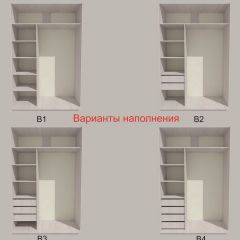 Шкаф-купе 1700 серии SILVER S1+S1+B2+PL2 (2 ящика+1 штанга+1 полка) профиль «Серебро» в Заречном - zarechnyy.mebel24.online | фото 5