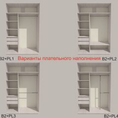 Шкаф-купе 1700 серии SILVER S1+S1+B2+PL2 (2 ящика+1 штанга+1 полка) профиль «Серебро» в Заречном - zarechnyy.mebel24.online | фото 6