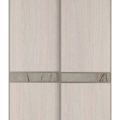 Шкаф-купе 1700 серии SILVER S1+S1+B2+PL2 (2 ящика+1 штанга+1 полка) профиль «Серебро» в Заречном - zarechnyy.mebel24.online | фото 10