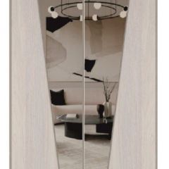 Шкаф-купе 1700 серии SILVER S1+S1+B2+PL2 (2 ящика+1 штанга+1 полка) профиль «Серебро» в Заречном - zarechnyy.mebel24.online | фото 12