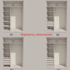 Шкаф-купе 1700 серии SILVER S3+S4+B2+PL4 (2 ящика+F обр.штанга) профиль «Серебро» в Заречном - zarechnyy.mebel24.online | фото 5