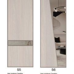 Шкаф-купе 1700 серии SILVER S4+S3Z+B2+PL1 (2 ящика+1 штанга) профиль «Серебро» в Заречном - zarechnyy.mebel24.online | фото 11
