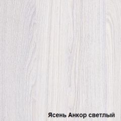 Шкаф-купе №19 Серия 3 Инфинити с зеркалами (1700) Ясень Анкор светлый в Заречном - zarechnyy.mebel24.online | фото 4