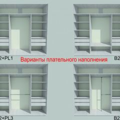 Шкаф-купе 1950 серии SILVER S3+S1+S3Z B22+PL2 (по 2 ящика лев/прав+1штанга+1 полка) профиль «Серебро» в Заречном - zarechnyy.mebel24.online | фото 6