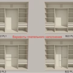 Шкаф-купе 2100 серии SOFT D5+D5+D5+B22+PL4 (по 2 ящика лев/прав+2штанги) профиль «Графит» в Заречном - zarechnyy.mebel24.online | фото 4