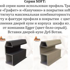 Шкаф-купе 2400 серии SOFT D5+D4+D5+B22+PL3 (по 2 ящика лев/прав+2штанги) профиль «Графит» в Заречном - zarechnyy.mebel24.online | фото 12