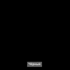 Шкаф купе без зеркала "Ольга-Лофт 10.1" в Заречном - zarechnyy.mebel24.online | фото 6