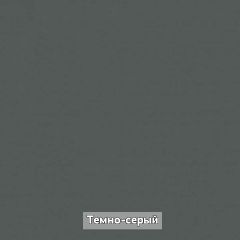 Шкаф купе без зеркала "Ольга-Лофт 10.1" в Заречном - zarechnyy.mebel24.online | фото 7