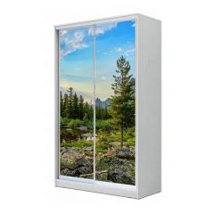 Шкаф-купе ХИТ 23-12-77 (620) в Заречном - zarechnyy.mebel24.online | фото