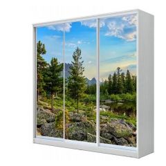 Шкаф-купе ХИТ 23-20/2-777 (620) в Заречном - zarechnyy.mebel24.online | фото