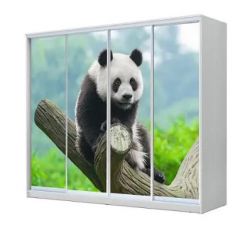 Шкаф-купе ХИТ 23-4-24/2-7777 (420) в Заречном - zarechnyy.mebel24.online | фото