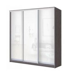 Шкаф-купе ХИТ 24-18/2-888 (620) в Заречном - zarechnyy.mebel24.online | фото 5