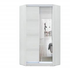 Шкаф-купе ХИТ-У-L-24-64-15 в Заречном - zarechnyy.mebel24.online | фото