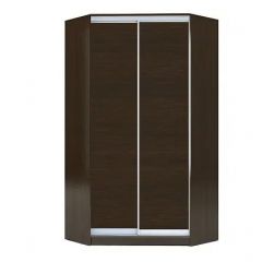 Шкаф-купе ХИТ-У-R-23-64-11 в Заречном - zarechnyy.mebel24.online | фото 1