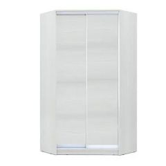 Шкаф-купе ХИТ-У-R-24-64-11 в Заречном - zarechnyy.mebel24.online | фото