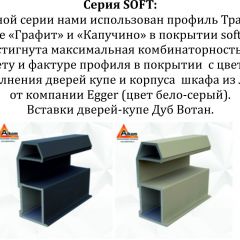 Шкаф-купе 1400 серии SOFT D1+D3+B2+PL1 (2 ящика+1штанга) профиль «Графит» в Заречном - zarechnyy.mebel24.online | фото 5