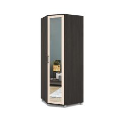 ЕВА Шкаф угловой Е58 в Заречном - zarechnyy.mebel24.online | фото 3