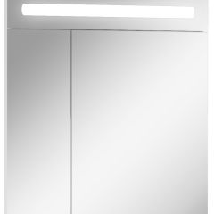 Шкаф-зеркало Аврора 65 с подсветкой LED Домино (DV8006HZ) в Заречном - zarechnyy.mebel24.online | фото