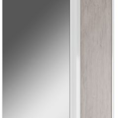Шкаф-зеркало Uno 60 Дуб серый левый/правый Домино (DU1503HZ) в Заречном - zarechnyy.mebel24.online | фото 1