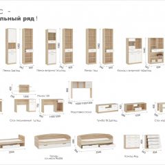 Система Стелс Шкаф-Пенал 1ящ Дуб сонома/Белый в Заречном - zarechnyy.mebel24.online | фото 3