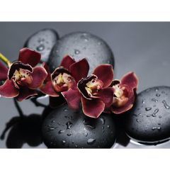 Стол обеденный Бостон Ст101.1 орхидеи в Заречном - zarechnyy.mebel24.online | фото 3