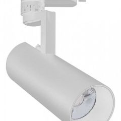 Светильник на штанге Escada 20029 20029TRA/01LED SWH в Заречном - zarechnyy.mebel24.online | фото