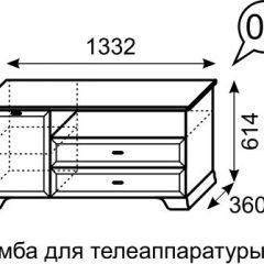 Тумба для телеаппаратуры Венеция 6 бодега в Заречном - zarechnyy.mebel24.online | фото 2