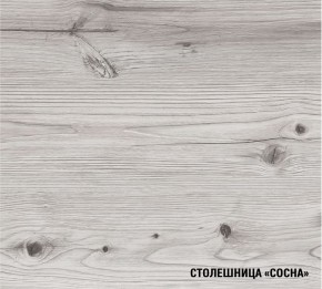 АСАЯ Кухонный гарнитур Экстра 2 (3000 мм) ПМ в Заречном - zarechnyy.mebel24.online | фото 8