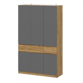 АВИНЬОН Прихожая Шкаф 3-х створчатый с ящиками в Заречном - zarechnyy.mebel24.online | фото